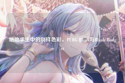 绝地求生中的别样色彩,PUBG Blank与Blank Budget
