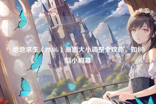 绝地求生(PUBG)画面大小调整全攻略,如何缩小屏幕