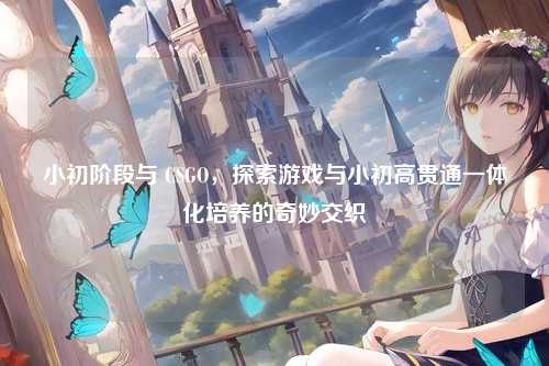 小初阶段与 CSGO，探索游戏与小初高贯通一体化培养的奇妙交织