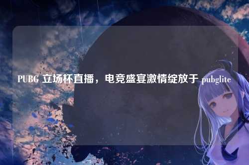 PUBG 立场杯直播,电竞盛宴激情绽放于 pubglite