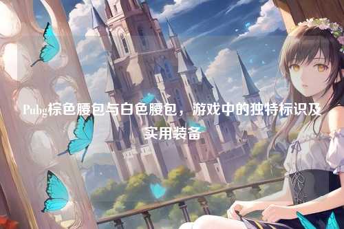 Pubg棕色腰包与白色腰包，游戏中的独特标识及实用装备
