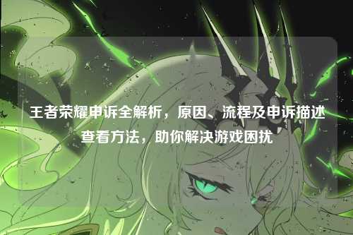 王者荣耀申诉全解析，原因、流程及申诉描述查看方法，助你解决游戏困扰