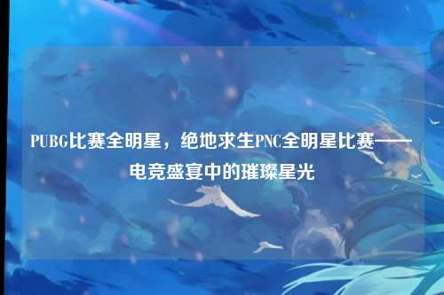 PUBG比赛全明星,绝地求生PNC全明星比赛——电竞盛宴中的璀璨星光
