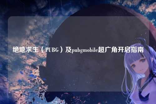 绝地求生(PUBG)及pubgmobile超广角开启指南