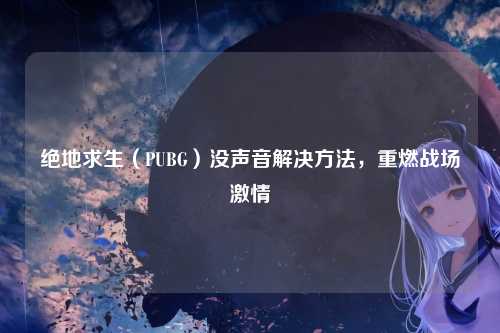 绝地求生(PUBG)没声音解决方法,重燃战场激情