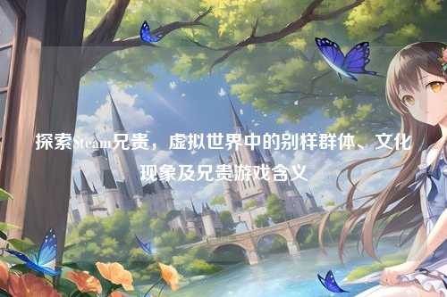 探索Steam兄贵,虚拟世界中的别样群体、文化现象及兄贵游戏含义